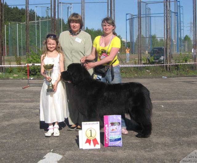 Фотография № 26975