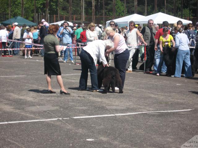 Фотография № 26983