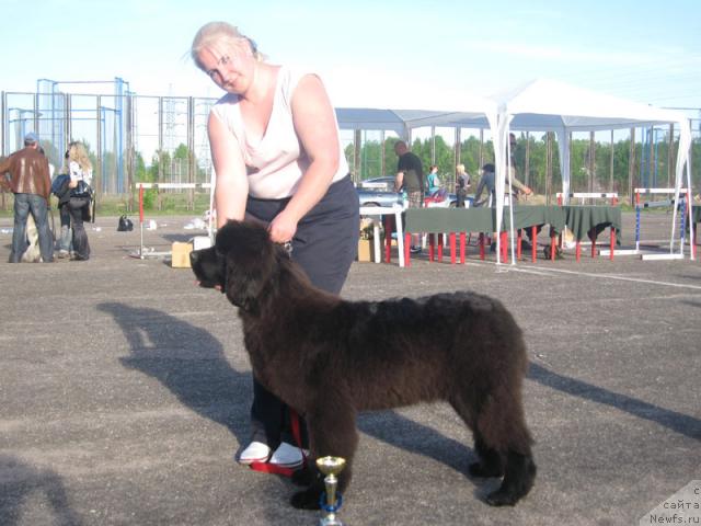 Фотография № 26986