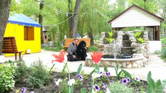 Фотография № 26993