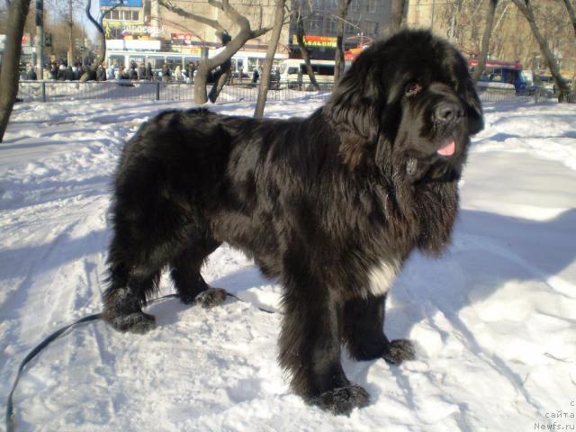 Фотография № 27000