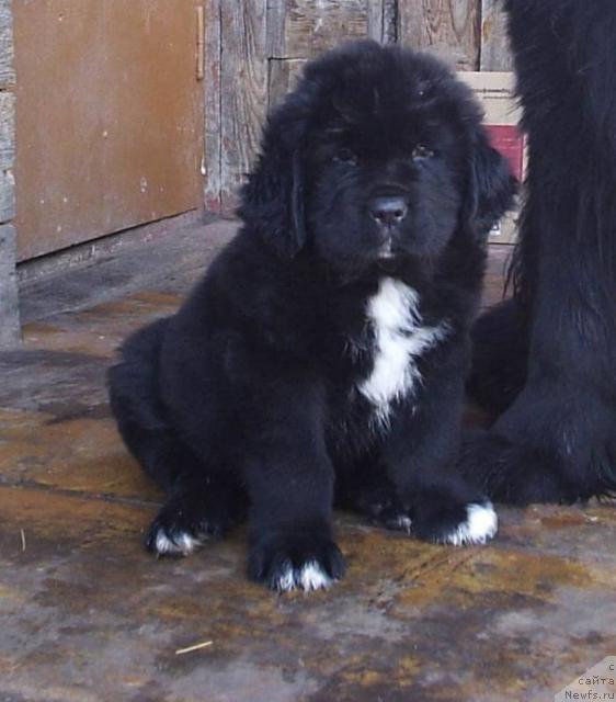 Фотография № 27109