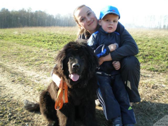 Фото: ньюфаундленд Graciya Nochi (Грация Ночи), Svetlana Fatova (Светлана Фатова), Владюха.