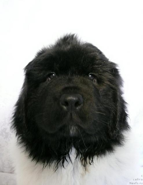 Фотография № 27149