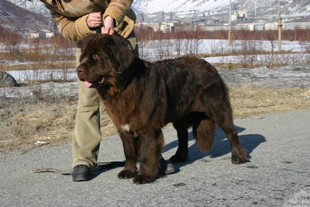 Фотография № 27192