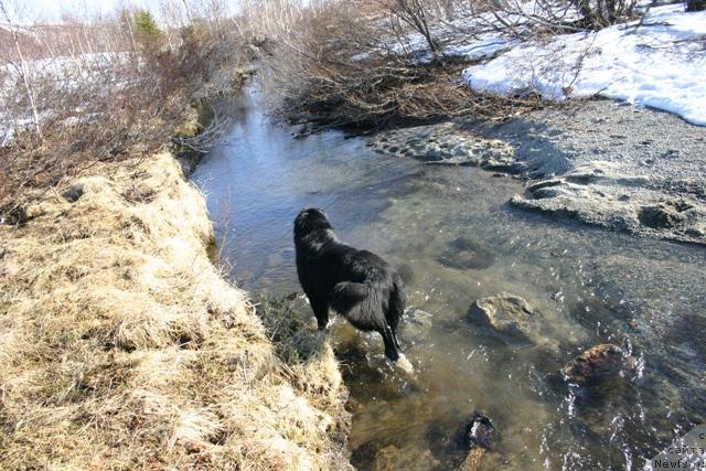 Фотография № 27194