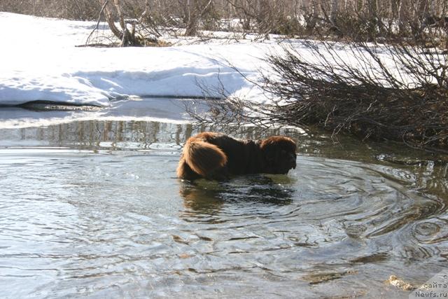 Фотография № 27198