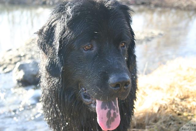 Фотография № 27199