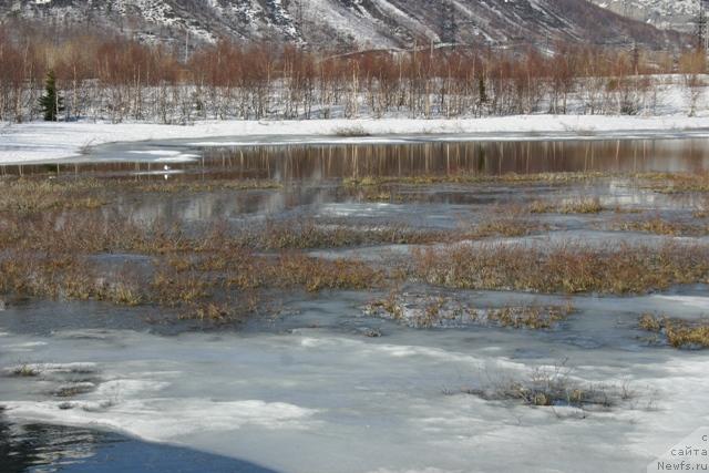 Фотография № 27200