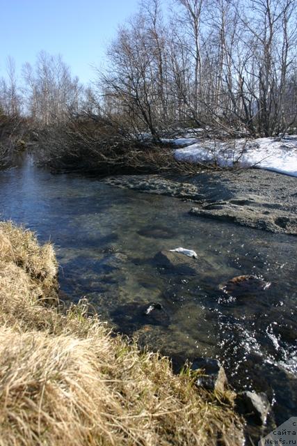 Фотография № 27203