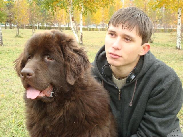 Фото: ньюфаундленд Ursula Fyemili Biar (Урсула Фэмили Биар), Maksim Kurilov (Максим Курилов)