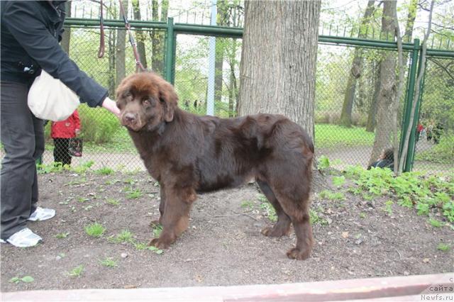 Фотография № 27223