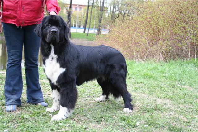 Фотография № 27224