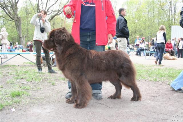 Фотография № 27226