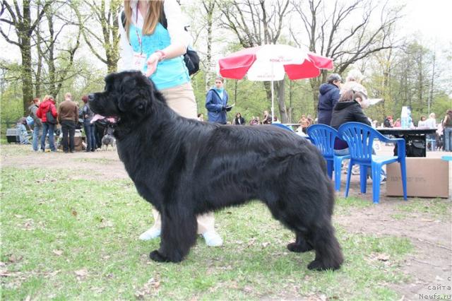 Фотография № 27227