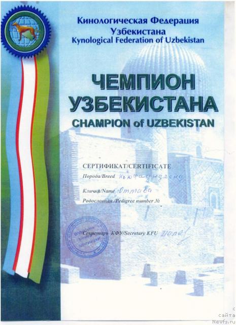 Фотография № 27265