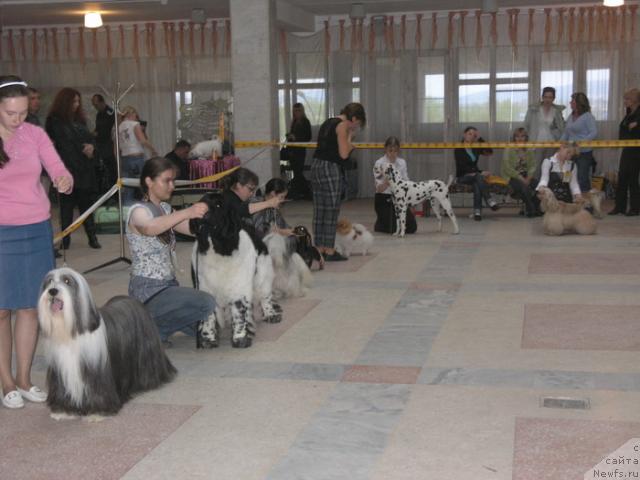 Фотография № 27271