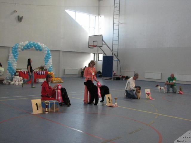 Фотография № 27283