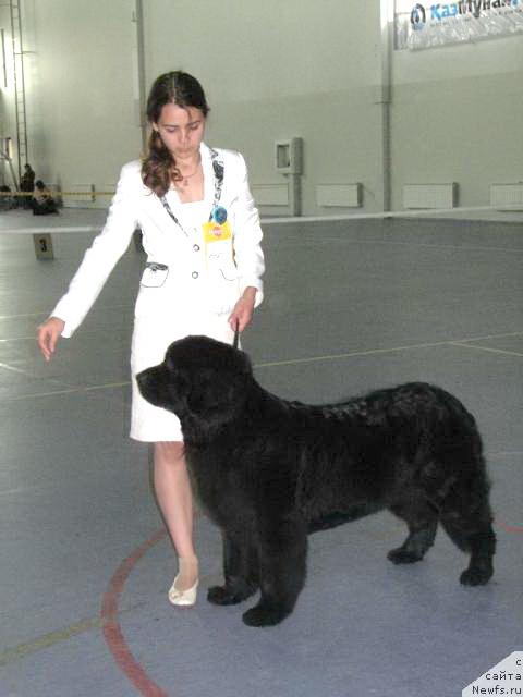 Фотография № 27284