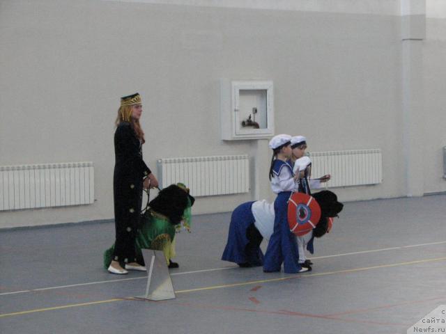 Фото: ньюфаундленд Rokot Volny Varga Kara Ayular (Рокот Волны Варга Кара Аюлар), Katerinka Klassen (Катеринка Классен), ньюфаундленд Ottava (Оттава)