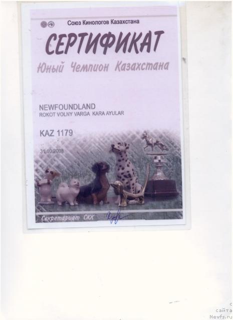 Фотография № 27287