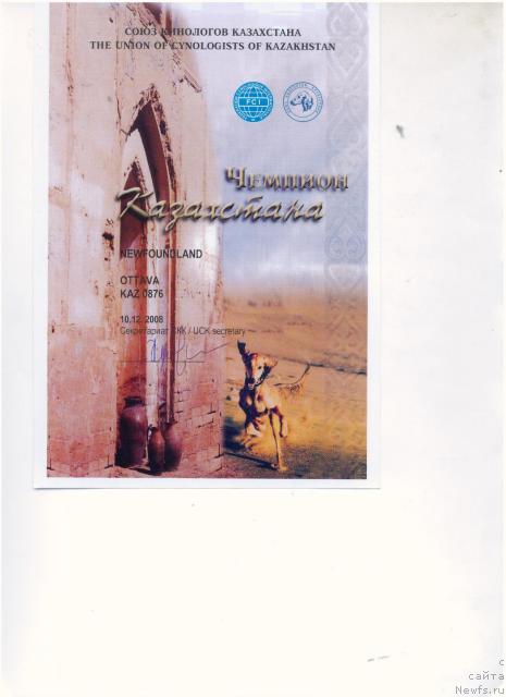 Фотография № 27288