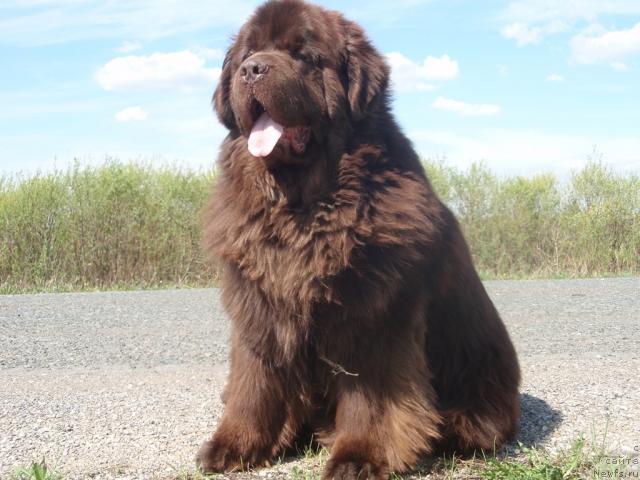 Фотография № 27349