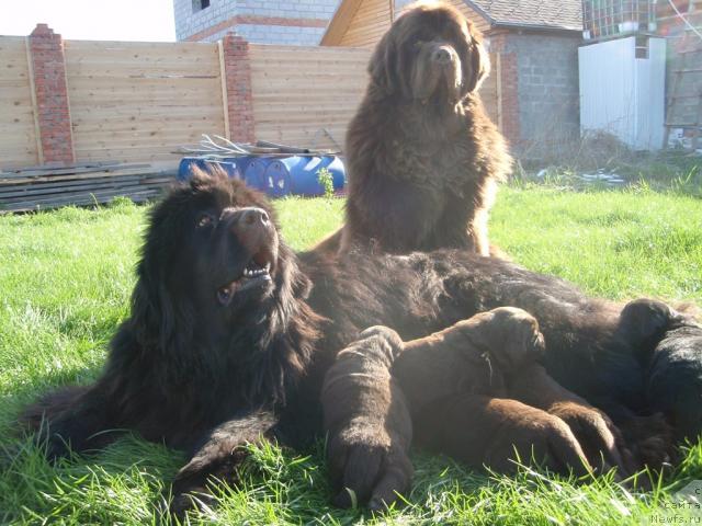 Фото: [d4533]и, [d7073]с детками.