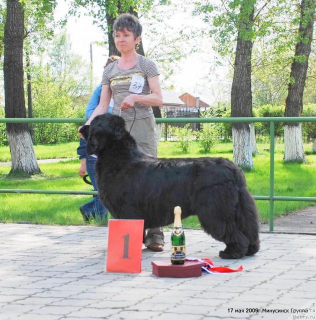 Фотография № 27366