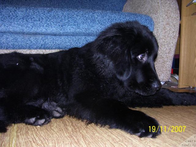 Фото: Irina Ignat'eva (Ирина Игнатьева)