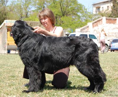 Фотография № 27427