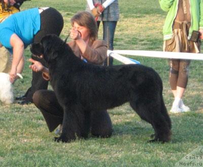 Фотография № 27428