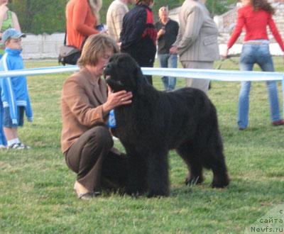 Фотография № 27429