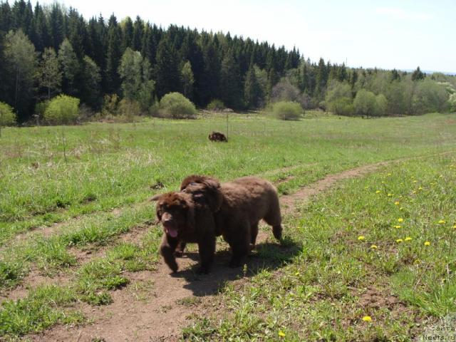 Фотография № 27437