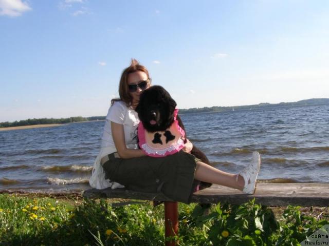 Фото: Ekaterina Bernasovskaya (Екатерина Бернасовская), ньюфаундленд Fairweathers Rendition