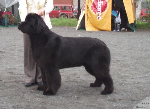 Фотография № 27500