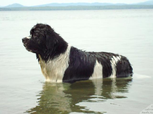 Фотография № 27507