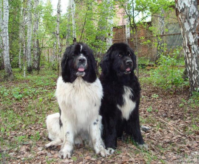 Фотография № 27510