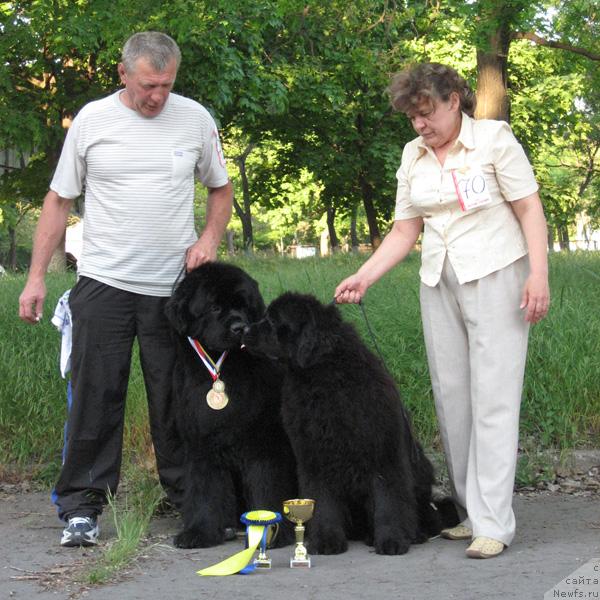 Фото: ньюфаундленд Zakadychny Dryg s Berega Dona (Закадычный Друг с Берега Дона), ньюфаундленд Kingova Doch s Berega Dona (Кингова Дочь с Берега Дона)