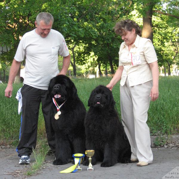 Фото: ньюфаундленд Zakadychny Dryg s Berega Dona (Закадычный Друг с Берега Дона), ньюфаундленд Kingova Doch s Berega Dona (Кингова Дочь с Берега Дона)