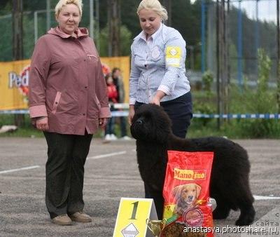 Фотография № 27576