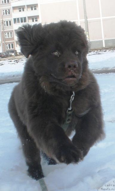 Фотография № 27581