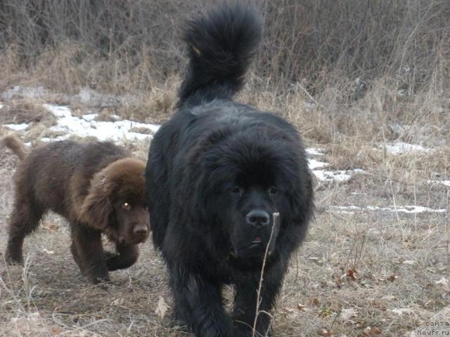 Фотография № 27582