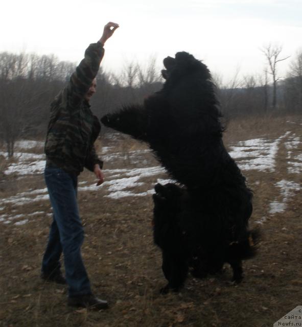 Фотография № 27583