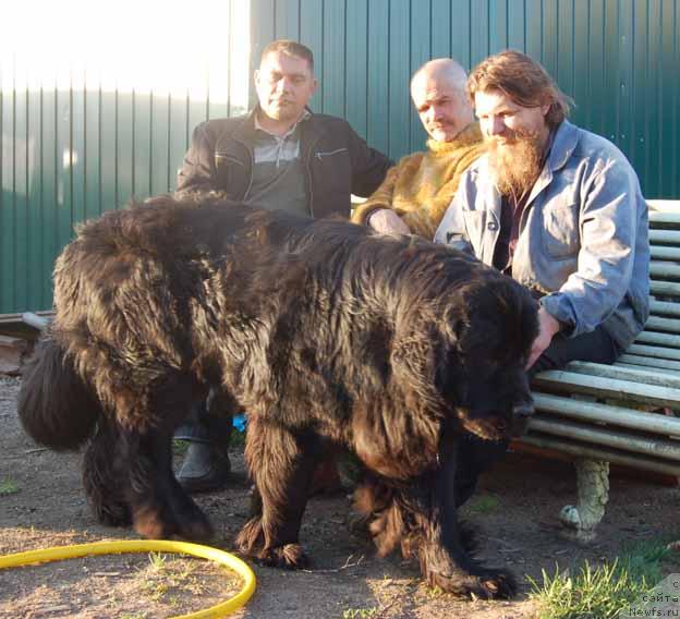 Фотография № 27596