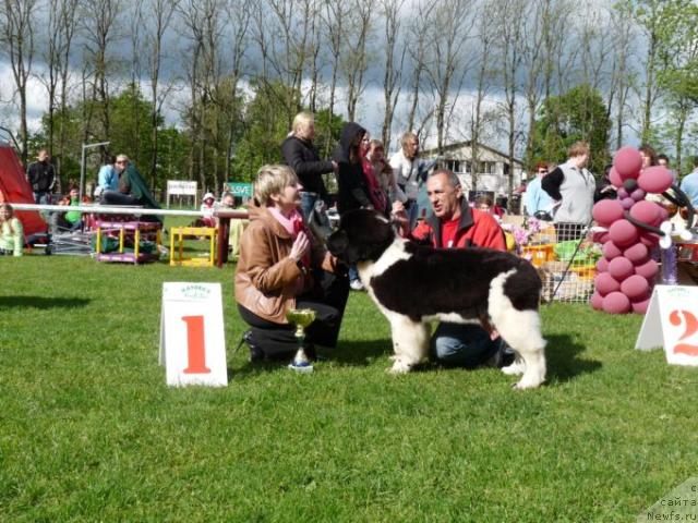 Фотография № 27633