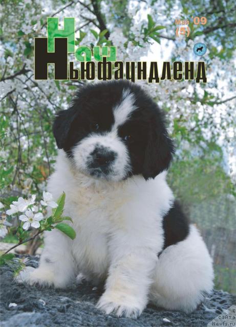 Фотография № 27634