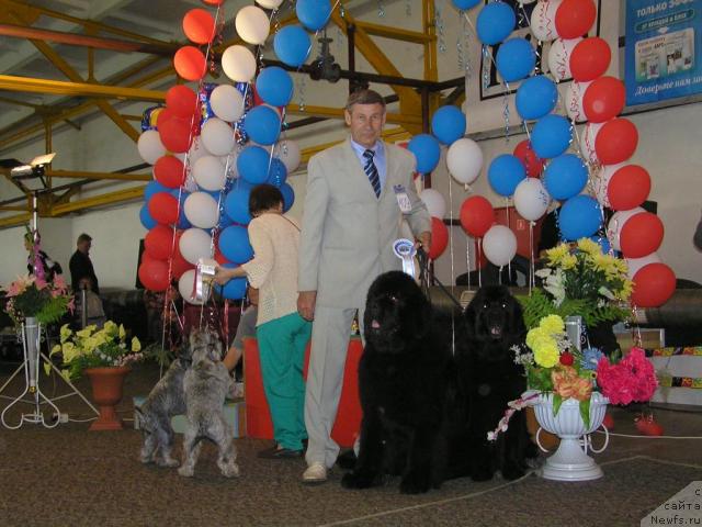 Фотография № 27705