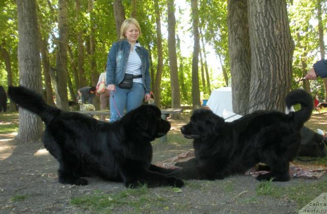 Фотография № 27766