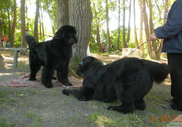 Фотография № 27767